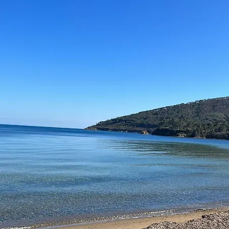 아파트 Suosogno Sul Mare 200metri Dalla *